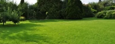 Przedsiębiorstwo 3 wizerunek GREEN&SNOW Ogrody, Tereny Zieleni - Projektowanie, Utrzymanie w Wrocław DS