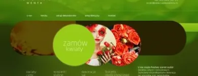 Przedsiębiorstwo 7 wizerunek HAUERPOWER Strony Www - Projektowanie w Kraków MA