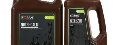 Przedsiębiorstwo 27 wizerunek HIPPOLAND Pamiątki, Upominki w Łódź LD