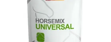 Przedsiębiorstwo 29 wizerunek HIPPOLAND Pamiątki, Upominki w Łódź LD