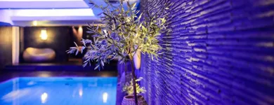 Przedsiębiorstwo 18 wizerunek HOTEL BRISTOL, A LUXURY COLLECTION HOTEL, WARSAW Kategoria w Warsaw