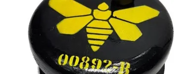 Przedsiębiorstwo 12 wizerunek KING OF THE BONGO Sportowa Odzież, Obuwie w Wrocław DS