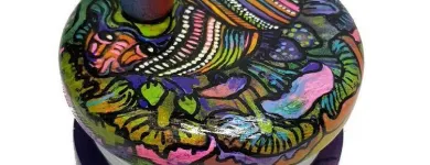 Przedsiębiorstwo 13 wizerunek KING OF THE BONGO Sportowa Odzież, Obuwie w Wrocław DS