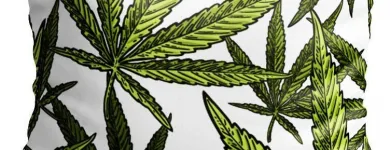 Przedsiębiorstwo 15 wizerunek KING OF THE BONGO Sportowa Odzież, Obuwie w Wrocław DS