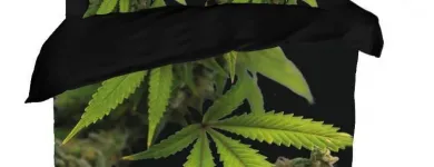 Przedsiębiorstwo 17 wizerunek KING OF THE BONGO Sportowa Odzież, Obuwie w Wrocław DS