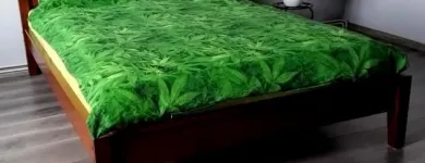 Przedsiębiorstwo 19 wizerunek KING OF THE BONGO Sportowa Odzież, Obuwie w Wrocław DS