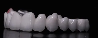 Przedsiębiorstwo 1 wizerunek KLEELAB Protetyczne Usługi w Piastów MZ