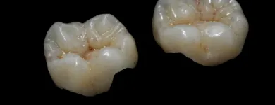 Przedsiębiorstwo 5 wizerunek KLEELAB Protetyczne Usługi w Piastów MZ