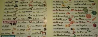 Przedsiębiorstwo 7 wizerunek KLUB JĘZYKA NIEMIECKIEGO BLIŻEJ ŚWIATA AGNIESZKA MARTAN Szkoły Języków Obcych w Warszawa MZ