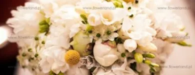 Przedsiębiorstwo 4 wizerunek KWIACIARNIA FLOWER LAND KRAKÓW - HUBERT LAMAŃSKI MISTRZ FLORYSTYKI Kwiaciarnie w Kraków MA