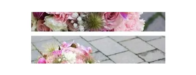 Przedsiębiorstwo 5 wizerunek KWIACIARNIA FLOWER LAND KRAKÓW - HUBERT LAMAŃSKI MISTRZ FLORYSTYKI Kwiaciarnie w Kraków MA