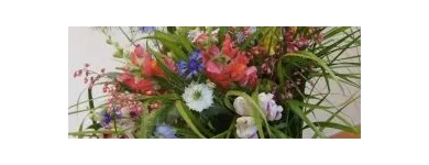 Przedsiębiorstwo 6 wizerunek KWIACIARNIA FLOWER LAND KRAKÓW - HUBERT LAMAŃSKI MISTRZ FLORYSTYKI Kwiaciarnie w Kraków MA