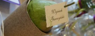 Przedsiębiorstwo 12 wizerunek KWIACIARNIA FLOWER LAND KRAKÓW - HUBERT LAMAŃSKI MISTRZ FLORYSTYKI Kwiaciarnie w Kraków MA