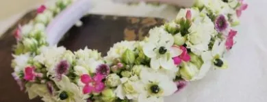Przedsiębiorstwo 13 wizerunek KWIACIARNIA FLOWER LAND KRAKÓW - HUBERT LAMAŃSKI MISTRZ FLORYSTYKI Kwiaciarnie w Kraków MA