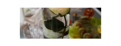 Przedsiębiorstwo 10 wizerunek LA RU CANDELA S.C. Świece, Znicze w Łódź LD