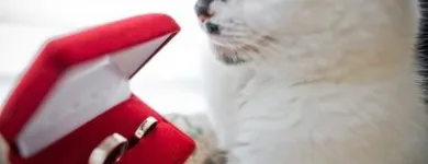 Przedsiębiorstwo 10 wizerunek MAGICZNA CHWILA Kategoria w Warszawa MZ