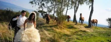 Przedsiębiorstwo 1 wizerunek MAGNOLIAFILM - FILMOWANIE WESEL, ŚLUBÓW Wideofilmowanie w Wrocław DS