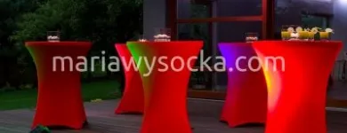 Przedsiębiorstwo 1 wizerunek MARIAWYSOCKA.COM | MEBLE I POKROWCE DLA GASTRONOMII Obrusy, Serwety w Łódź LD