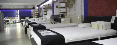 Przedsiębiorstwo 20 wizerunek MEBLE EXPO Meble - Sosnowe w Ostrowiec Świętokrzyski SK