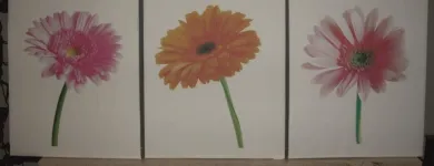 Przedsiębiorstwo 5 wizerunek PENNA ART STUDIO-PRACOWNIA REKLAMY Szyldy w Lublin LU