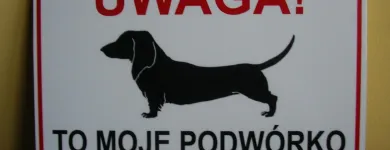 Przedsiębiorstwo 6 wizerunek PENNA ART STUDIO-PRACOWNIA REKLAMY Szyldy w Lublin LU