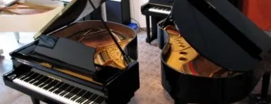 Przedsiębiorstwo 1 wizerunek PIANO-LUX. FORTEPIANY I PIANINA TOMASZ JOŃCZYK PIANOLUX Muzyka - Nauka w Łódź LD