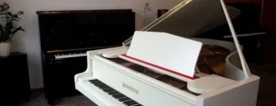 Przedsiębiorstwo 2 wizerunek PIANO-LUX. FORTEPIANY I PIANINA TOMASZ JOŃCZYK PIANOLUX Muzyka - Nauka w Łódź LD