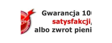 Przedsiębiorstwo 10 wizerunek POGOTOWIE USŁUG PORZĄDKOWYCHPROGRESS-2 w Katowice SL