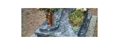 Przedsiębiorstwo 11 wizerunek POGOTOWIE USŁUG PORZĄDKOWYCHPROGRESS-2 w Katowice SL