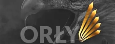 Przedsiębiorstwo 6 wizerunek PRYWATNY DETEKTYW WATCHDOG KIELCE w Wrocław DS