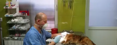 Przedsiębiorstwo 1 wizerunek PRZYCHODNIA WETERYNARYJNA PROVET S.C. Weterynaria - Usługi w Warszawa MZ