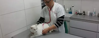 Przedsiębiorstwo 3 wizerunek PRZYCHODNIA WETERYNARYJNA PROVET S.C. Weterynaria - Usługi w Warszawa MZ