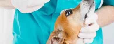 Przedsiębiorstwo 4 wizerunek PRZYCHODNIA WETERYNARYJNA PROVET S.C. Weterynaria - Usługi w Warszawa MZ