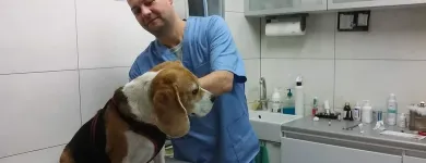 Przedsiębiorstwo 5 wizerunek PRZYCHODNIA WETERYNARYJNA PROVET S.C. Weterynaria - Usługi w Warszawa MZ