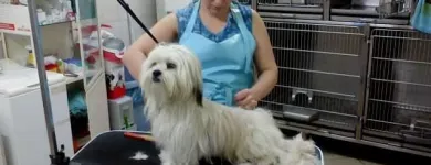 Przedsiębiorstwo 8 wizerunek PRZYCHODNIA WETERYNARYJNA PROVET S.C. Weterynaria - Usługi w Warszawa MZ