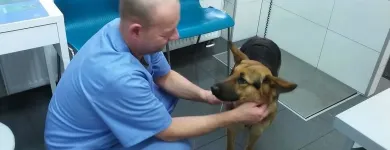 Przedsiębiorstwo 12 wizerunek PRZYCHODNIA WETERYNARYJNA PROVET S.C. Weterynaria - Usługi w Warszawa MZ