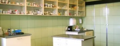 Przedsiębiorstwo 3 wizerunek PRZYCHODNIA WETERYNARYJNA SOSNOWIEC ZAGÓRZE LEK. WET. JUSTYNA WALASEK - GLIŃSKA Weterynaria - Usługi w Sosnowiec SL