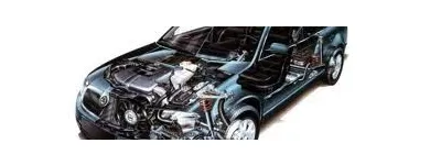 Przedsiębiorstwo 1 wizerunek PW WELLNESS-TOURS Rowery w Radom MZ