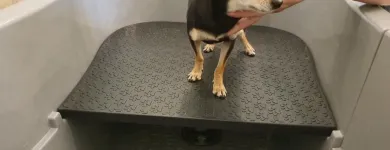 Przedsiębiorstwo 3 wizerunek SALON GROOMERSKI ŚWIAT ZWIERZĄT Zwierzęta Domowe - Hodowla, Pielęgnacja, Tresura w Rybnik SL