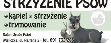 Przedsiębiorstwo 4 wizerunek SALON URODY PSIEJ STRZYŻENIE PSÓW Zwierzęta Domowe - Hodowla, Pielęgnacja, Tresura w Wieliczka MA
