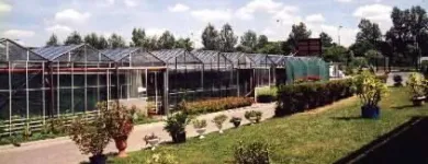 Przedsiębiorstwo 5 wizerunek SEQUOIA. CENTRUM OGRODNICZE Ogrodnicze Artykuły, Sprzęt w Warszawa MZ