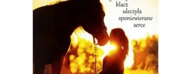 Przedsiębiorstwo 40 wizerunek SKLEP JEŹDZIECKI HIPPOLAND - WWW.HIPPOLAND.COM.PL Kategoria w Łódź LD