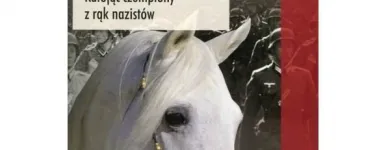 Przedsiębiorstwo 44 wizerunek SKLEP JEŹDZIECKI HIPPOLAND - WWW.HIPPOLAND.COM.PL Kategoria w Łódź LD