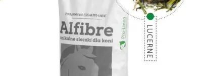 Przedsiębiorstwo 52 wizerunek SKLEP JEŹDZIECKI HIPPOLAND - WWW.HIPPOLAND.COM.PL Kategoria w Łódź LD