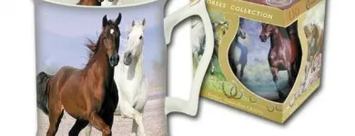 Przedsiębiorstwo 53 wizerunek SKLEP JEŹDZIECKI HIPPOLAND - WWW.HIPPOLAND.COM.PL Kategoria w Łódź LD