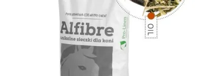 Przedsiębiorstwo 66 wizerunek SKLEP JEŹDZIECKI HIPPOLAND - WWW.HIPPOLAND.COM.PL Kategoria w Łódź LD