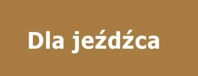 Przedsiębiorstwo 72 wizerunek SKLEP JEŹDZIECKI HIPPOLAND - WWW.HIPPOLAND.COM.PL Kategoria w Łódź LD