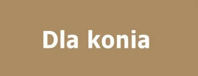 Przedsiębiorstwo 78 wizerunek SKLEP JEŹDZIECKI HIPPOLAND - WWW.HIPPOLAND.COM.PL Kategoria w Łódź LD
