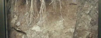 Przedsiębiorstwo 15 wizerunek SPEL-REM - WINDY WROCŁAW - KONSERWACJA WIND WROCŁAW Wózki Elektryczne, Spalinowe, Widłowe w Wrocław DS