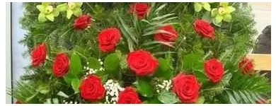 Przedsiębiorstwo 6 wizerunek SPRZEDAŻ KWIATÓW MAŁGORZATA OLSZEWSKA KWIACIARNIA REBEKA Pogrzebowe Usługi w Warszawa MZ